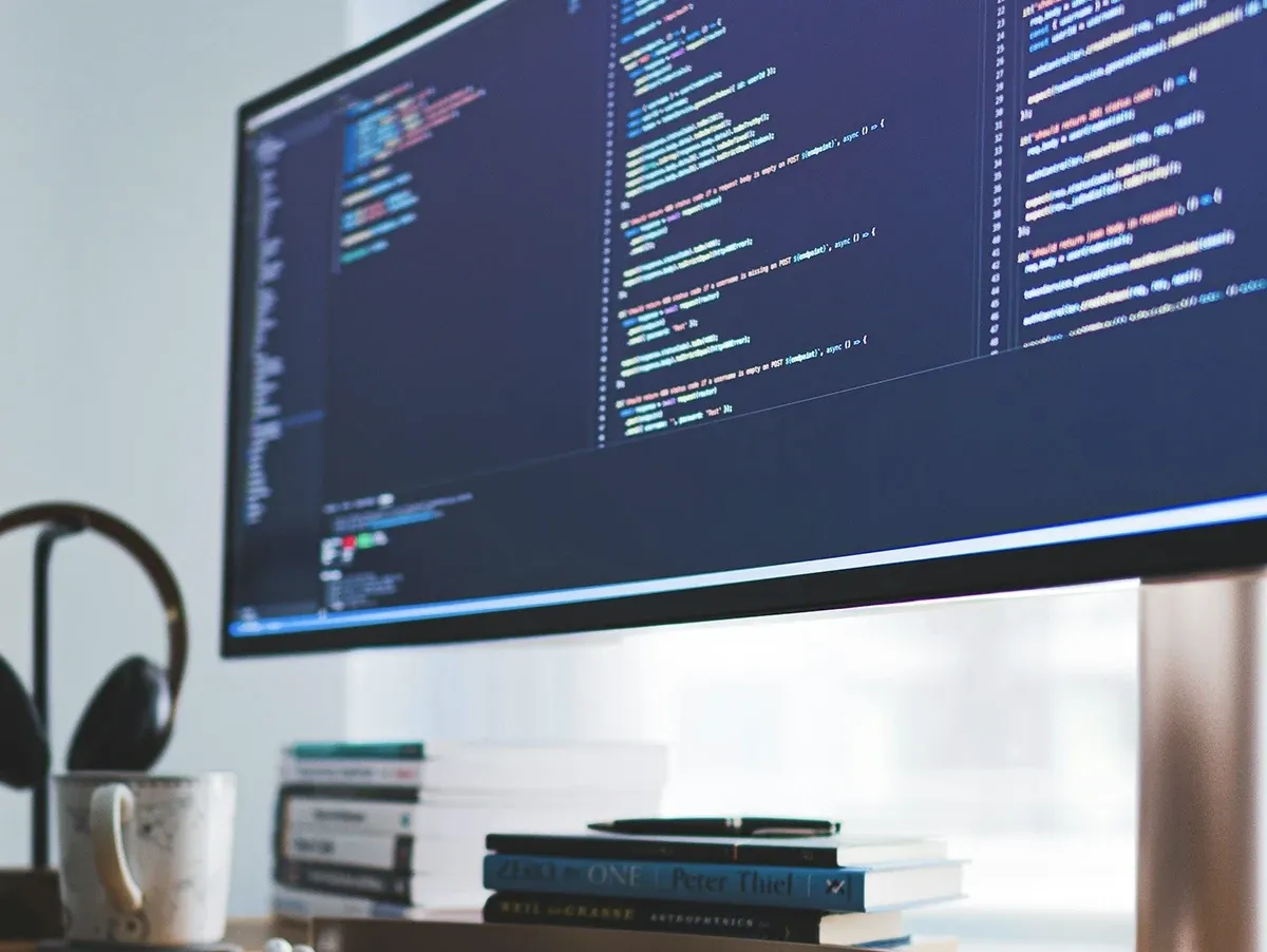 softwareentwicklung